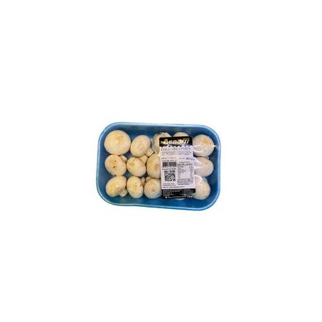 Cogumelo Benassi 300g Paris