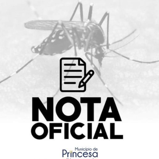 Princesa confirma primeira morte por dengue