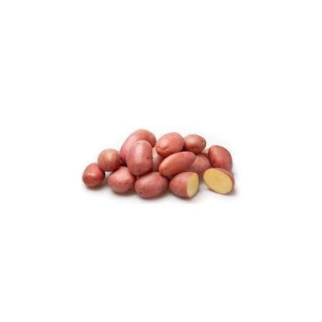 BATATA ASTERIX KG
