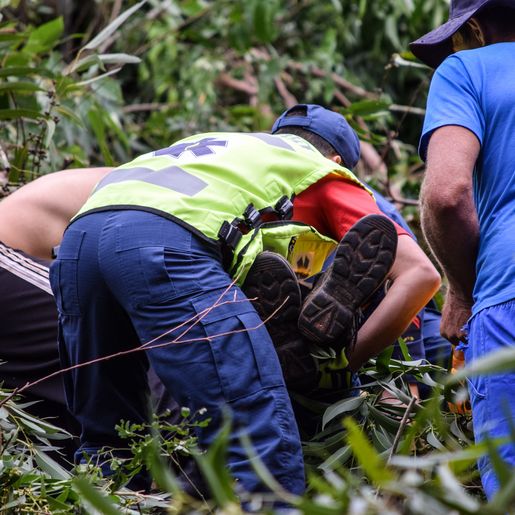 Vídeo: Trabalhador fica ferido ao ser atingido por árvore no interior de Bandeirante