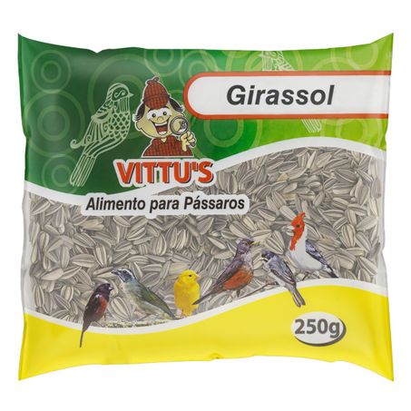 Girassol graúdo vittu's