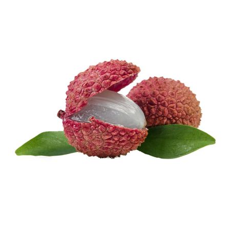Lichia Kg