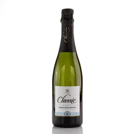 Espumante Salton Classic Brut 750ml