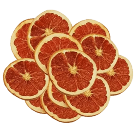 Laranja Desidratada 40g