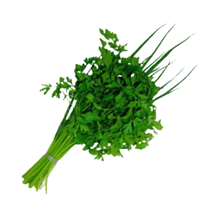 Flv cheiro verde horti silva