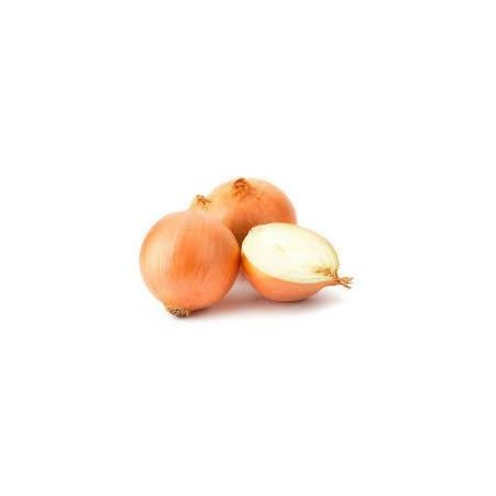 CEBOLA IMPORTADA KG