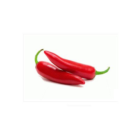 PIMENTA VERMELHA KG
