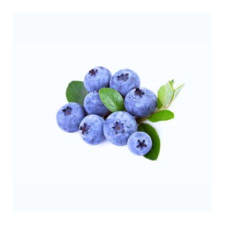 Blueberries athos 125g
