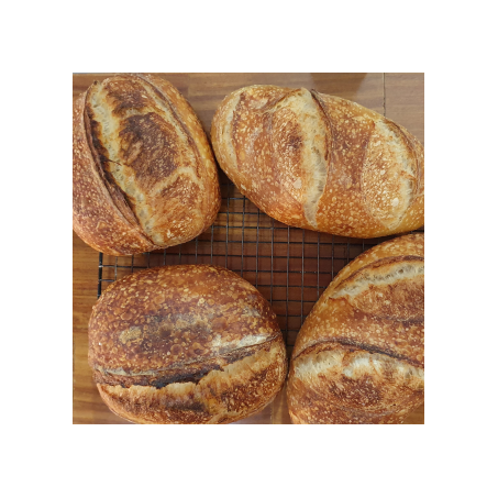 Pao italiano de fermentacao integral 500g