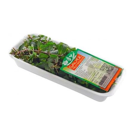 Menta roxa Gauer 16g