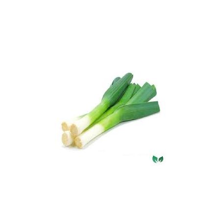 HORTI ALHO PORO
