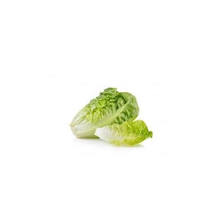 MINI ALFACE WALKER 150G