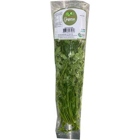 Salsinha Gasparin 80g - Orgânica