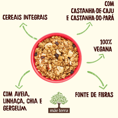 Granola Tradicional Mãe Terra Castanhas 250g 360-2