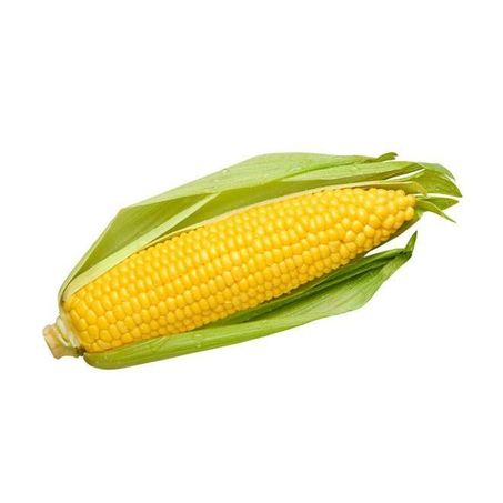 MILHO VERDE 1 UNIDADE