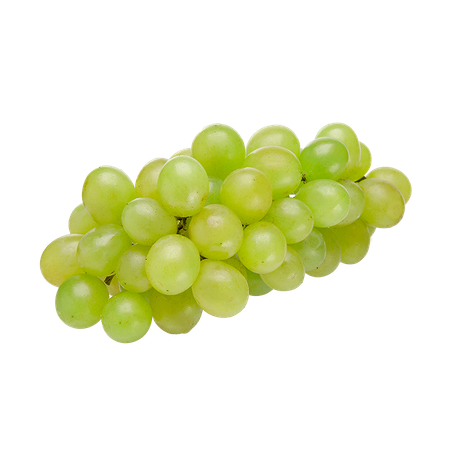 UVA ITALIA KG