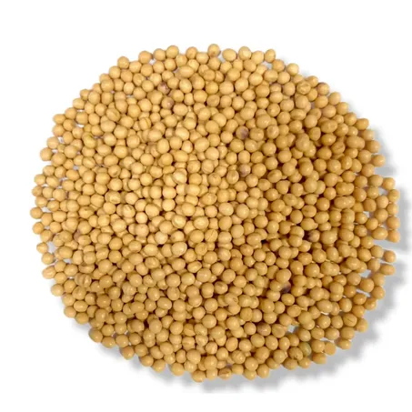 SOJA EM GRÃO 1KG