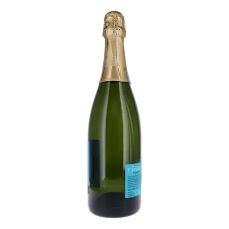 ESPUMANTE SALTON SERIES MOSCATEL 750ML 360-1