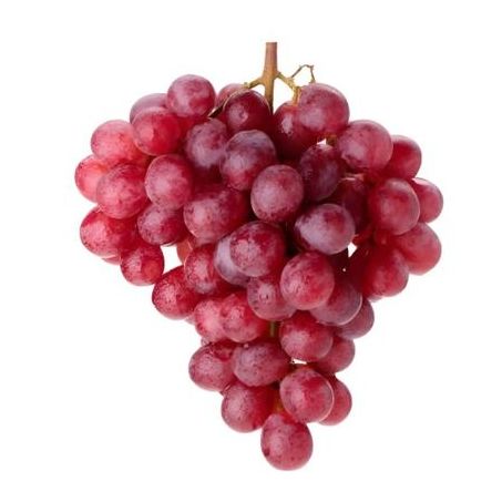 UVA RED GLOB KG