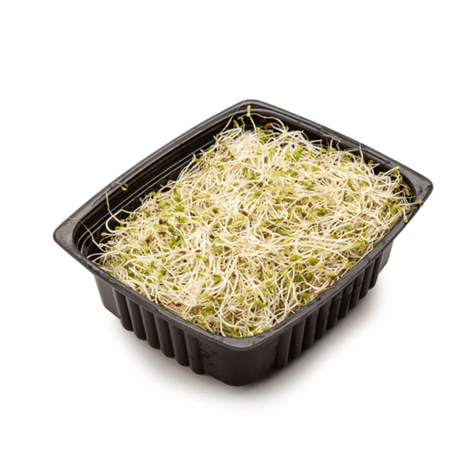 Broto de alfafa 150g bandeja