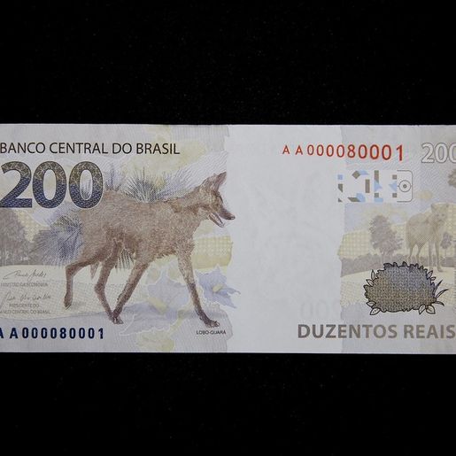 FOTOS: Banco Central lança nota de R$ 200, com imagem de um lobo-guará