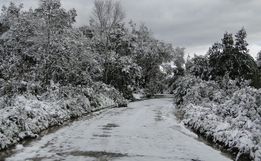 OUÇA: SMOeste pode ter chuva congelada e neve nesta semana