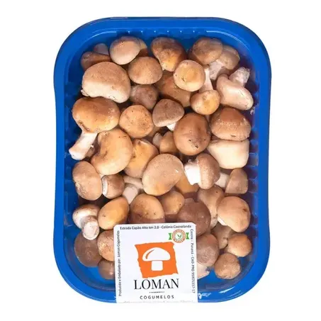 Cogumelo Baby 250g Loman