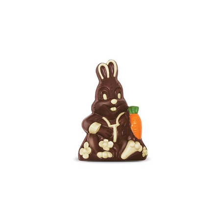 Coelho De Chocolate Gramadense Familia 100g 
 
