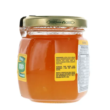 GELEIA TRADICIONAL DE ABACAXI 250G BOM PRINCIPIO 360-11