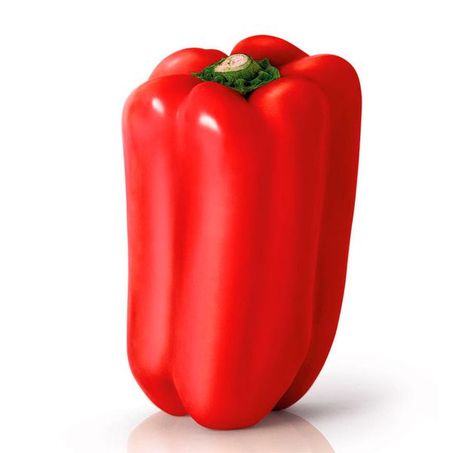 PIMENTÃO VERMELHO 360-1