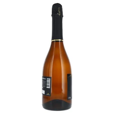 ESPUMANTE CHAMP SOLAIR DEMI SEC VILLENAVE GARRAFA 750ML 360-26