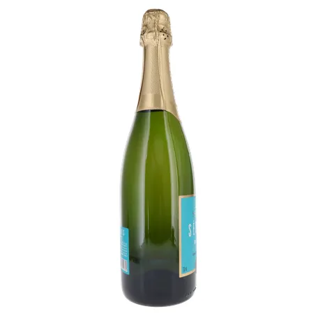 ESPUMANTE SALTON SERIES BRUT 750ML 360-28