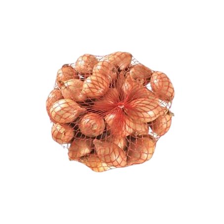CEBOLA BRUDA REDE 1KG