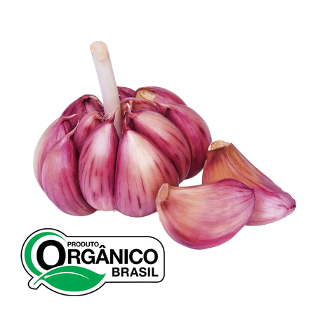 Alho Amanhã Orgânico 150g