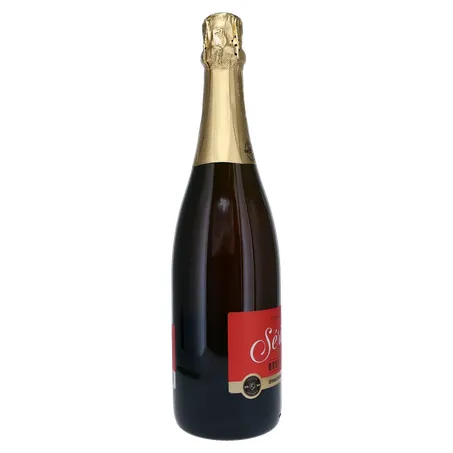 Espumante Brasileiro Salton Series Brut Rosé 750Ml 360-29
