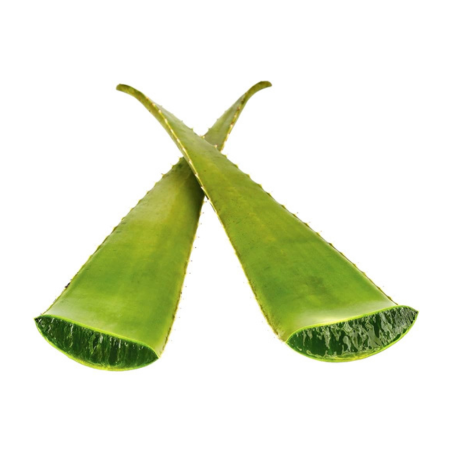 ALOE VERA/BABOSA VIVALOE