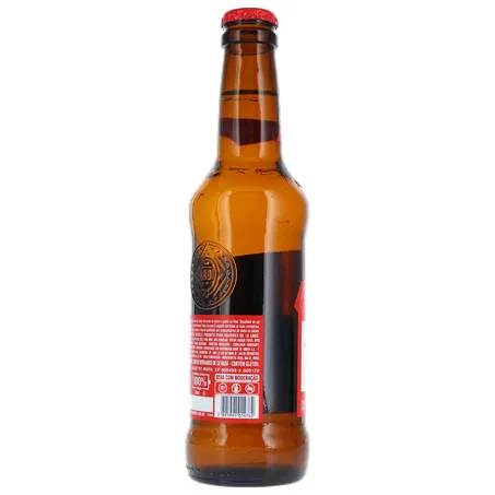 CERVEJA BUDWEISER C/CASCO LONG NECK 330ML 360-22
