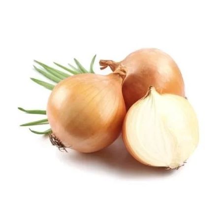 Legume cebola ao kg