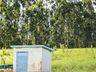 OUÇA: Peperi anuncia projeto para Parque Florestal na Linha Emboaba