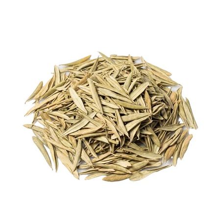 FOLHA DE OLIVEIRA 100G