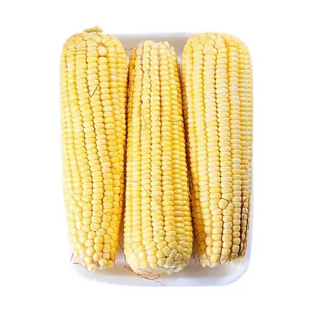 Milho Verde Orgânico Coopeg 650g