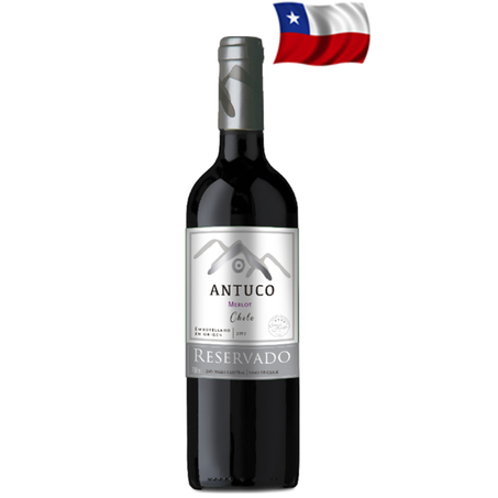 VINHO ANTUCO MERLOT CHILE 750ML