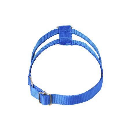 PEITORAL + GUIA AZUL M