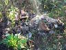 Polícia Militar Ambiental chama atenção para casos frequentes de descarte irregular de lixo