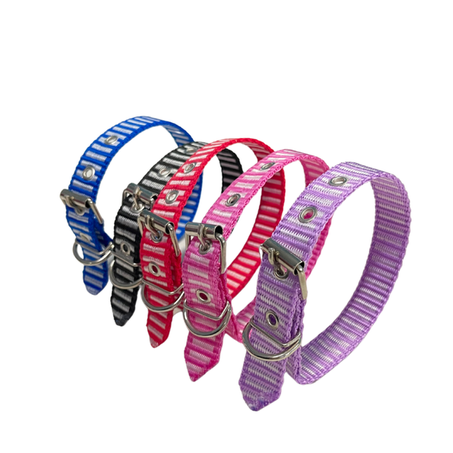 COLEIRA DE NYLON TUB NOVA N4