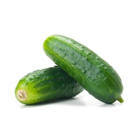 Pepino verde para conserva kg