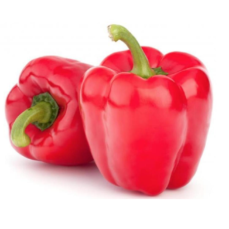 PIMENTÃO VERMELHO KG