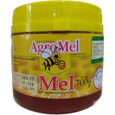 Mel agro mel tradicional pote 700g