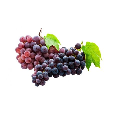 UVA NIAGRA ROSADA PERBONI 500G