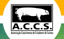 ACCS aponta cenário positivo no mercado da suinocultura